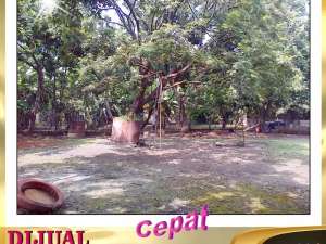 DIJUAL TANAH 6.100 m di Prepedan Raya Cengkareng Jakarta Barat - HL lokasi di Jakarta Barat, tersedia melalui melalui situs Olx