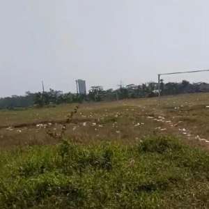 Dijual Tanah 9 hektar 1,1 jtm Cikande Serang Tangerang lokasi di Serang Kab., tersedia melalui melalui situs Olx