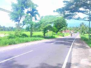 Dijual tanah akses tronton di Jember lokasi di Jember Kab., tersedia melalui melalui situs Olx