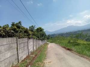 Dijual Tanah Ambarjaya Ciambar Sukabumi lokasi di Sukabumi Kab., tersedia melalui melalui situs Olx