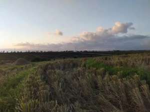 Dijual Tanah Beachfront Luas dengan Kontur Berundak Dekat Waka GanggaTabanan, Bali lokasi di Tabanan Kab., tersedia melalui melalui situs Olx