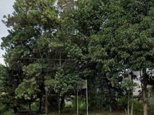 Dijual Tanah Boulevard Balikpapan Baru lokasi di Balikpapan Kota, tersedia melalui melalui situs Olx