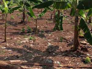 dijual tanah ciracas Jakarta Timur lokasi di Jakarta Timur, tersedia melalui melalui situs Olx