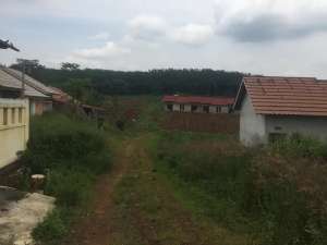 Dijual Tanah dan Bangunan Perumahan Oasis Mountview Proyek Perumahan lokasi di Cianjur Kab., tersedia melalui melalui situs Olx