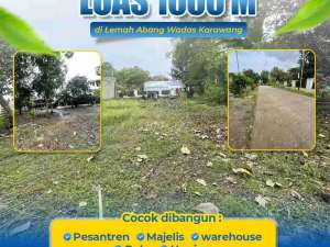DIJUAL TANAH DARAT 1000 M SHM READY lokasi di Karawang Kab., tersedia melalui melalui situs Olx