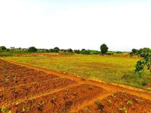 Dijual Tanah darat Cikarang Selatan lokasi di Bekasi Kab., tersedia melalui melalui situs Olx