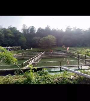 DIJUAL Tanah Darat ProduktifPemancingan1818 M2,serti S.H.M. lokasi di Bekasi Kab., tersedia melalui melalui situs Olx