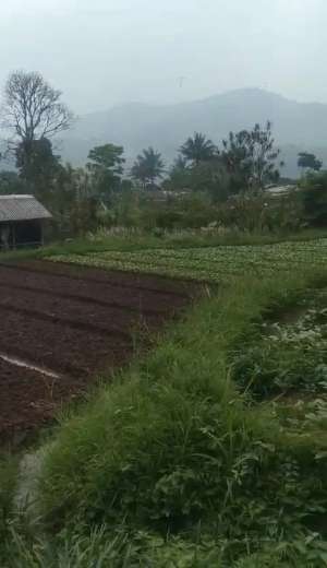 DIJUAL TANAH DARATAN KAWASAN CIBODAS PUNCAK LOKASI MENARIK lokasi di Cianjur Kab., tersedia melalui melalui situs Olx