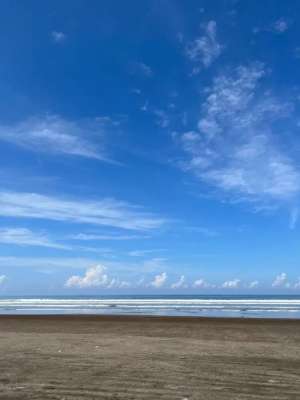 Dijual Tanah di Bali Denpasar Gilimanuk lokasi di Tabanan Kab., tersedia melalui melalui situs Olx