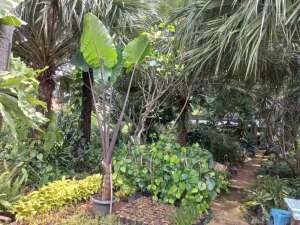 DIJUAL TANAH di BOJONGSARI BARU DEPOK lokasi di Depok Kota, tersedia melalui melalui situs Olx