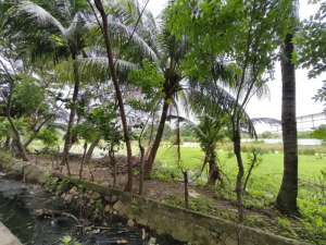 Dijual Tanah di Cakung seluas 5.548meter lokasi di Jakarta Pusat, tersedia melalui melalui situs Olx