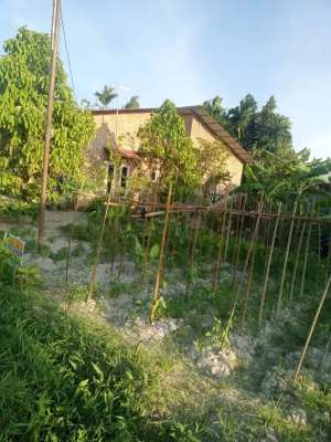 Dijual tanah di dalam gang Pasar 9 Tembung Desa Sei Rotan lokasi di Deli Serdang Kab., tersedia melalui melalui situs Olx