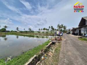 Dijual Tanah di Desa Parijatahkulon, Srono - Banyuwangi lokasi di Banyuwangi  Kab., tersedia melalui melalui situs Olx