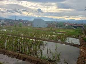 Dijual Tanah Di Garut Kota lokasi di Garut Kab., tersedia melalui melalui situs Olx