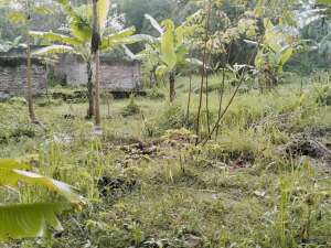 Dijual tanah di jalan godog karangpawitan garut lokasi di Garut Kab., tersedia melalui melalui situs Olx