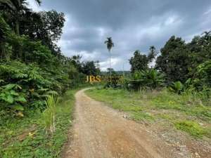 Dijual Tanah di Jalan Namorambe - Sembahe lokasi di Deli Serdang Kab., tersedia melalui melalui situs Olx