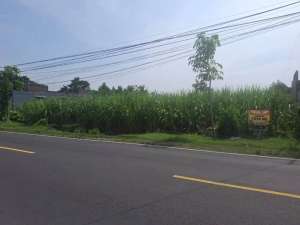 Dijual Tanah Di Jalan Raya Papar Kediri, Posisi 0 Jalan Raya Utama. lokasi di Kediri  Kab., tersedia melalui melalui situs Olx