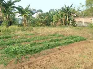 Dijual Tanah di Jatikramat Bekasi Jawa Barat lokasi di Bekasi Kab., tersedia melalui melalui situs Olx