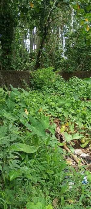 dijual tanah di jlnRayaPajajaran Bogor kota 5.063mshm lokasi di Bogor Kota, tersedia melalui melalui situs Olx