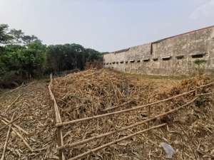 DIJUAL TANAH DI KAMPUNG CISAUK ERPAK lokasi di Tangerang Kab., tersedia melalui melalui situs Olx