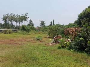Dijual Tanah Di Kawasan Pabrik Gunung Sindur lokasi di Depok Kota, tersedia melalui melalui situs Olx