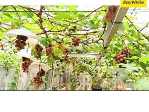 Dijual Tanah di Korpri Raya, Sukarame, Bandar Lampung Kode AY 3486 lokasi di Bandar Lampung Kota, tersedia melalui melalui situs Olx