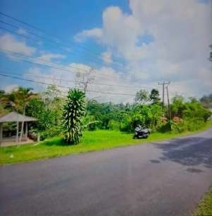 Dijual Tanah Di Lokasi Strategis Desa Pupuan lokasi di Tabanan Kab., tersedia melalui melalui situs Olx