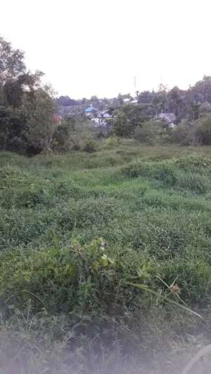 Dijual TANAH di Pekanbaru lokasi di Pekanbaru Kota, tersedia melalui melalui situs Olx