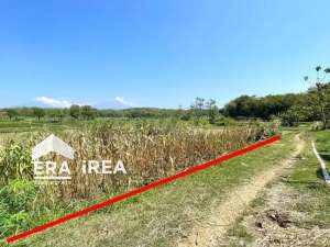 DIJUAL TANAH DI SAMBI BOYOLALI lokasi di Boyolali Kab., tersedia melalui melalui situs Olx