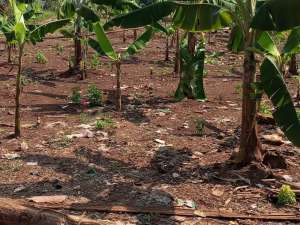 Dijual tanah di Setu Cipayung Jakarta Timur dekat MABES TNI 3.353m lokasi di Jakarta Timur, tersedia melalui melalui situs Olx