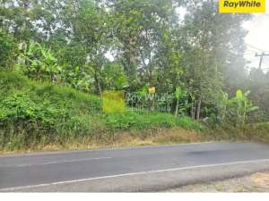 Dijual Tanah di Tanjung Karang Barat, Bandar Lampung Kode Mel Alf 3366 lokasi di Bandar Lampung Kota, tersedia melalui melalui situs Olx