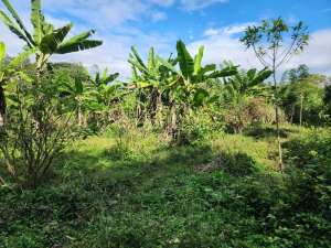 DIJUAL TANAH DI TEMPURAN AREA PEMUKIMAN BAGUS UNTUK PERUMAHAN lokasi di Magelang Kab., tersedia melalui melalui situs Olx