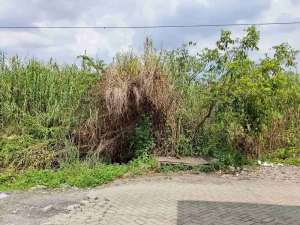 Dijual tanah dibawah harga pasar lokasi di Sidoarjo  Kab., tersedia melalui melalui situs Olx