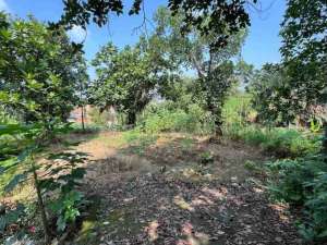 Dijual Tanah dibawah NJOP di Tanah Sareal Kota Bogor lokasi di Jakarta Selatan, tersedia melalui melalui situs Olx