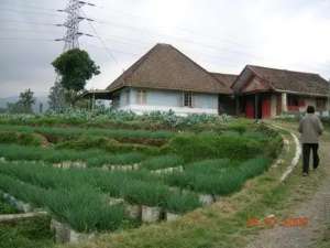 Dijual Tanah didaerah Ciwidey Bandung lokasi di Bandung Kab., tersedia melalui melalui situs Olx