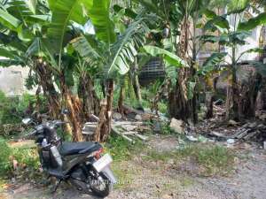 Dijual Tanah Gentan Solo Pajang Dekat Luwes dan Mangesti Raya lokasi di Surakarta Kota, tersedia melalui melalui situs Olx