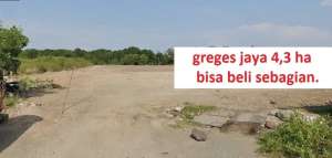 dijual tanah greges jaya dekat margomulyokalianak tambak lagon lokasi di Surabaya Kota, tersedia melalui melalui situs Olx