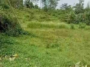 DIJUAL TANAH INDUSTRI BAWEN, LUAS 5HA. LAND FOR INDUSTRY, WAREHOUSEFACTORY IN CENTRAL JAVA. lokasi di Semarang Kab., tersedia melalui melalui situs Olx