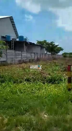 Dijual Tanah Industri dan Komersial di Widang Tuban lokasi di Tuban Kab., tersedia melalui melalui situs Olx
