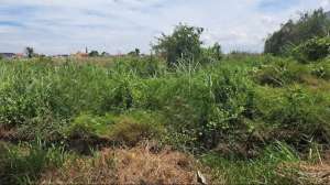 DIJUAL TANAH INDUSTRI MASPION MANYAR GRESIK lokasi di Gresik Kab., tersedia melalui melalui situs Olx