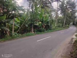 DIJUAL TANAH INDUSTRI SALATIGA, 4,7HA. LAND FOR INDUSTRY, WAREHOUSEFACTORY IN CENTRAL JAVA. lokasi di Salatiga Kota, tersedia melalui melalui situs Olx