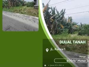 Dijual Tanah Jalan Kurnia Pekanbaru Kota lokasi di Pekanbaru Kota, tersedia melalui melalui situs Olx
