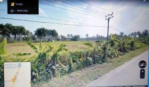 DIJUAL TANAH JALAN RAYA PANIMBANG, DESA TEGAL PAPAK, BANTEN, JAWABARAT lokasi di Pandeglang Kab., tersedia melalui melalui situs Olx