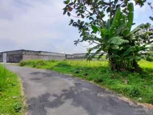 Dijual Tanah Jogja Utara Dekat Sindu Kusuma Edupark Sleman SHM lokasi di Sleman Kab., tersedia melalui melalui situs Olx