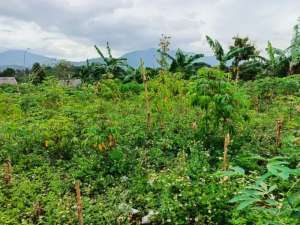 Dijual Tanah Kapling Cicalengka Dekat Univ Kedokteran Unisba lokasi di Bandung Kab., tersedia melalui melalui situs Olx