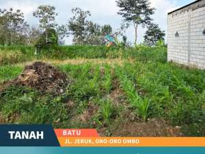 Dijual Tanah Kavling Di Jalan Jeruk, Oro-Oro Ombo BatuOLX765 lokasi di Batu Kota, tersedia melalui melalui situs Olx