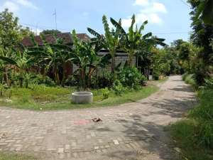 DIJUAL TANAH KAVLING LELANGKEC KAPAS BOJONEGORO lokasi di Blora Kab., tersedia melalui melalui situs Olx