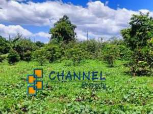 DiJual Tanah Kavling Lokasi Strategis Dekat Tol dan Supermarket Sawangan Depok, Ls lokasi di Depok Kota, tersedia melalui melalui situs Olx