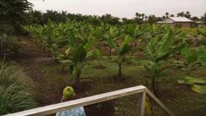 Dijual Tanah Kavling Murah dan Cukup Strategis lokasi di Deli Serdang Kab., tersedia melalui melalui situs Olx