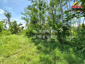 Dijual Tanah Kavling Murah di Perum. Permata Giri Banyuwangi lokasi di Banyuwangi  Kab., tersedia melalui melalui situs Olx